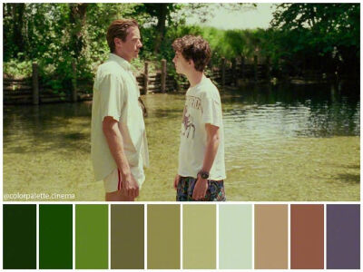 那些经典电影中的配色美学 ins：colorpalette.cinema