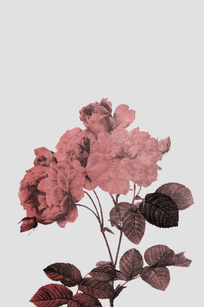 Vintage