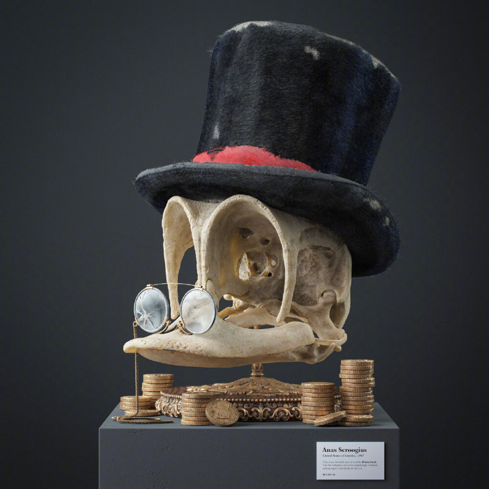 布拉格艺术家 Filip Hodas 运用渲染技术制作的“卡通化石” | filiphodas.com