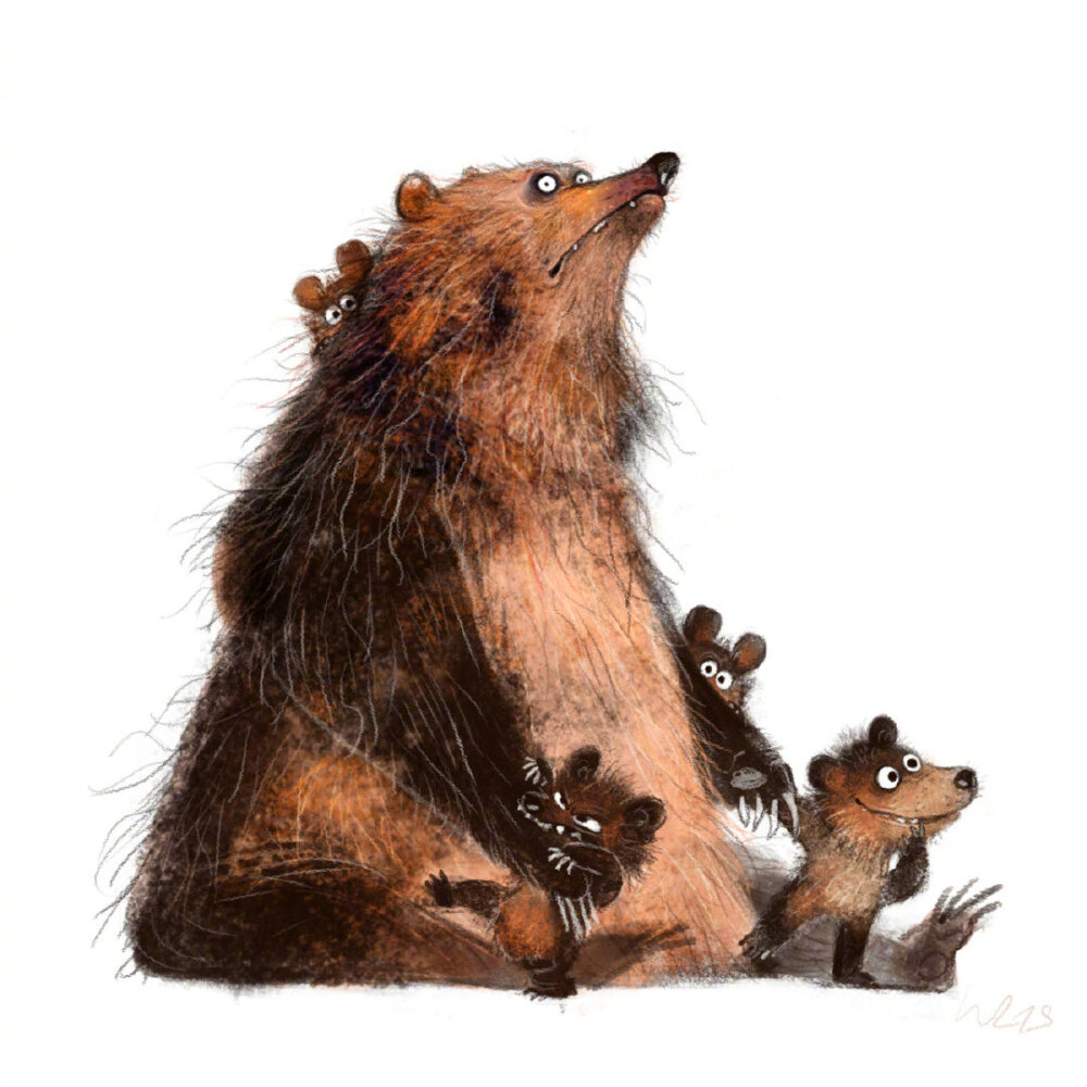 德国插画师 wiebke rauers 动物绘画作品 | wiebkerauers.tumblr.com