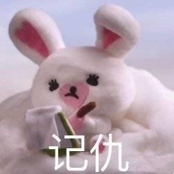 表情