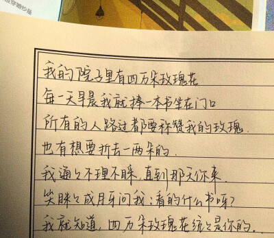 赠你四万朵玫瑰