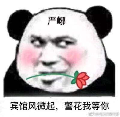 破云表情包