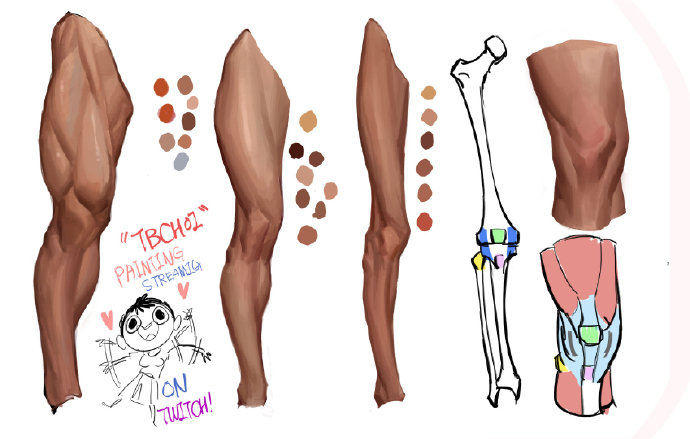 绘画的身体构造秘密