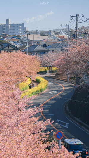 花一开就相爱吧
摄影师：kelvin李