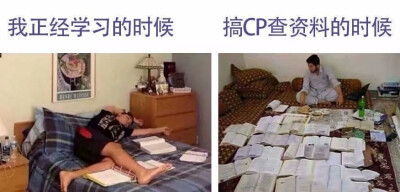 搞cp的我VS学习的我