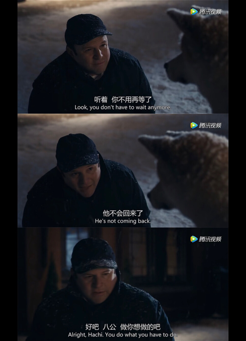 《忠犬八公的故事》