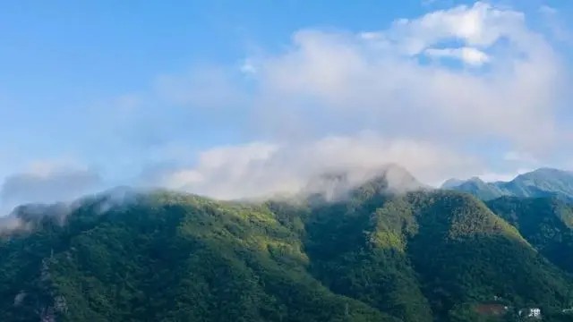 陕西 镇坪飞渡峡.黄安坝（AAAA）级
飞渡峡和黄安坝景区，是镇坪等级最高的一个景区，国家AAAA级，也是镇坪唯一的AAAA级旅游景区。它位于陕西和重庆交界，山顶就是两省的分界。这边距离镇坪县城40公里，那一边距离重庆城口县城70公里。最早的时候，两边各自开发了一个景区，一边叫飞渡峡，一边叫黄安坝。后来整合资源，联合打造了一个国家AAAA级旅游景区。主要的风景是高山草甸、原始森林、峡谷溪流、飞峡瀑布，大巴山最具代表性的风光。
