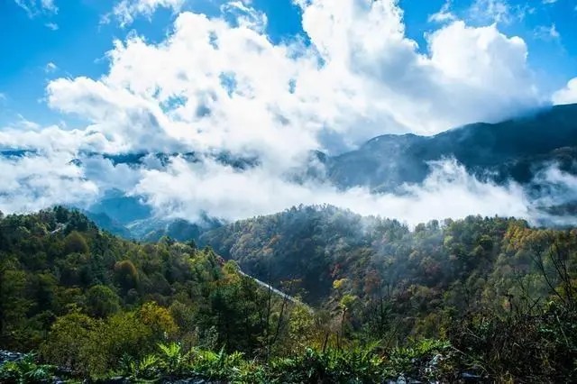 陕西 镇坪飞渡峡.黄安坝（AAAA）级
飞渡峡和黄安坝景区，是镇坪等级最高的一个景区，国家AAAA级，也是镇坪唯一的AAAA级旅游景区。它位于陕西和重庆交界，山顶就是两省的分界。这边距离镇坪县城40公里，那一边距离重庆城口县城70公里。最早的时候，两边各自开发了一个景区，一边叫飞渡峡，一边叫黄安坝。后来整合资源，联合打造了一个国家AAAA级旅游景区。主要的风景是高山草甸、原始森林、峡谷溪流、飞峡瀑布，大巴山最具代表性的风光。
