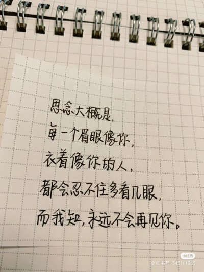 好看的字体