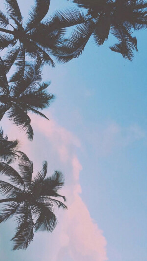 背景 壁纸 天空