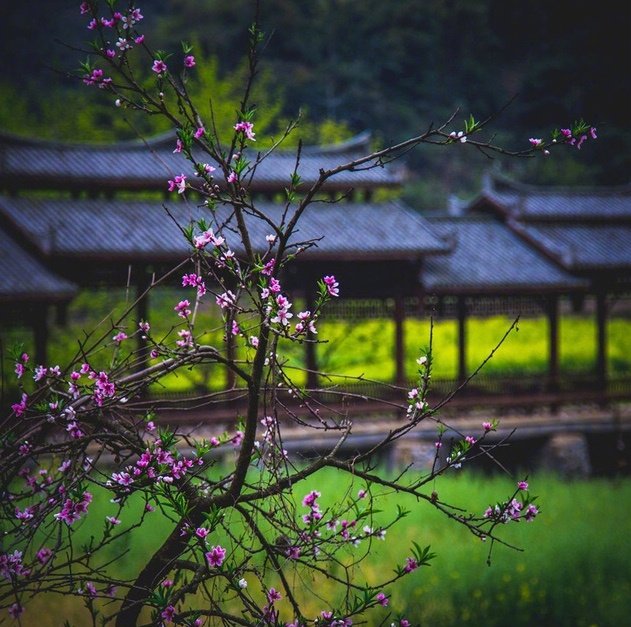 田舍清江曲，柴门古道旁。草深迷市井，地僻懒衣裳。#你相册里的春景# #诗词歌赋#