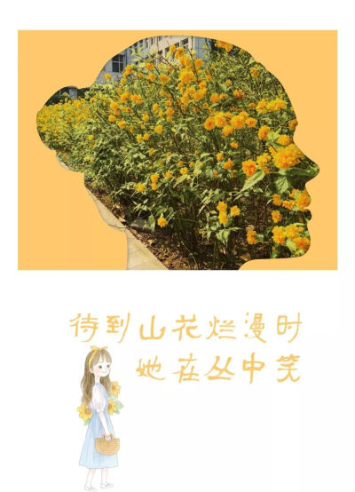 汇华印象