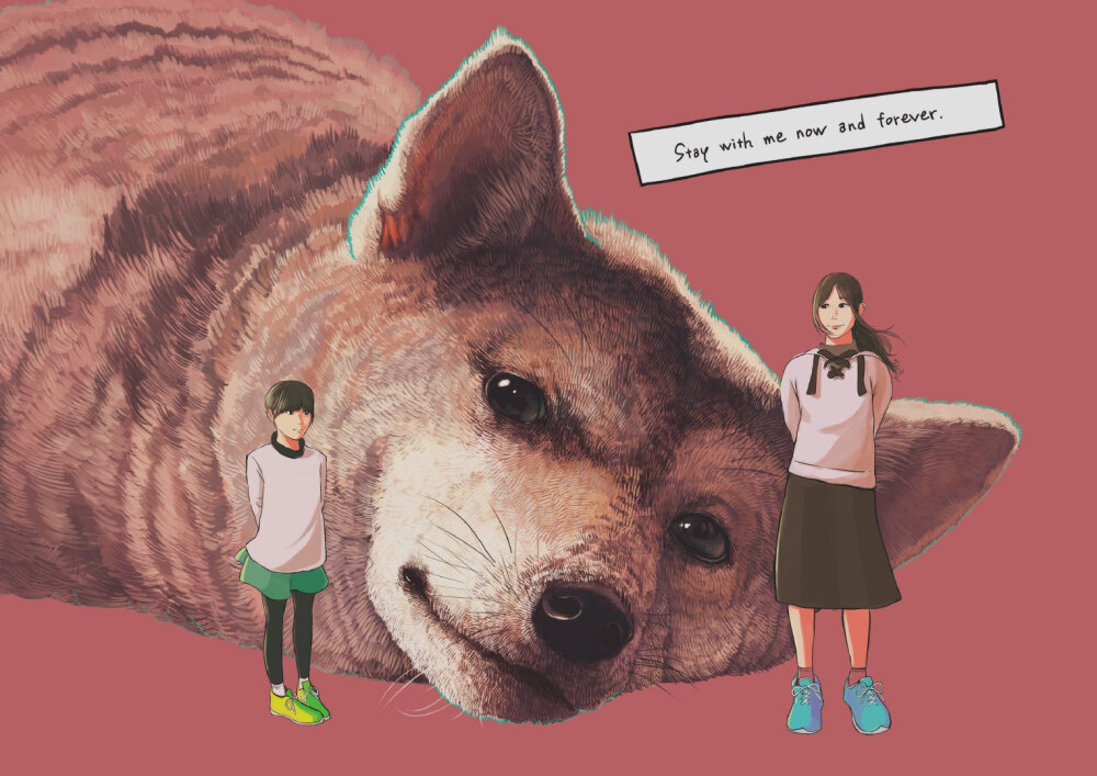 人与动物