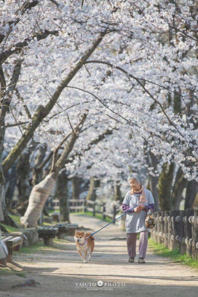 日本摄影师Yasuto为老奶奶拍摄下来的欢乐日常