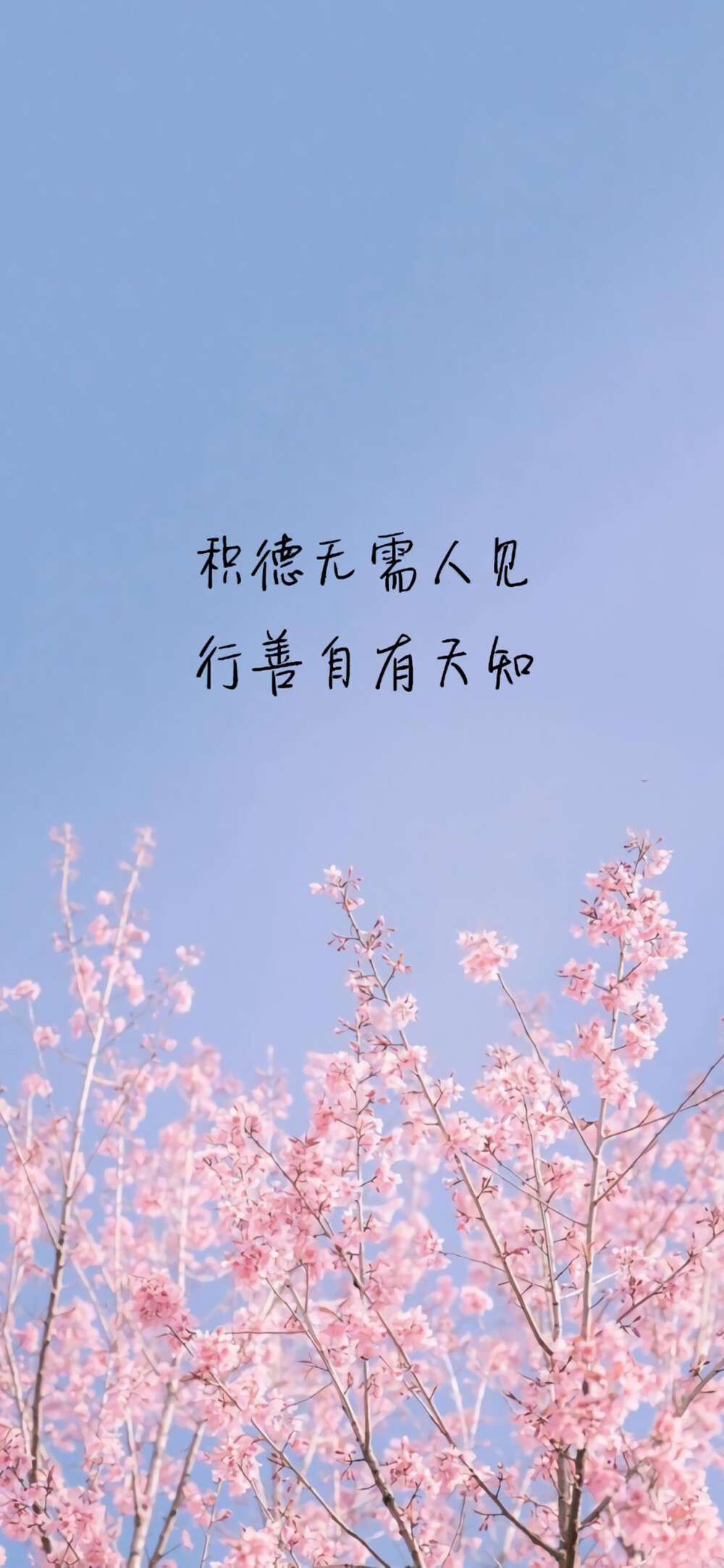 文字图片