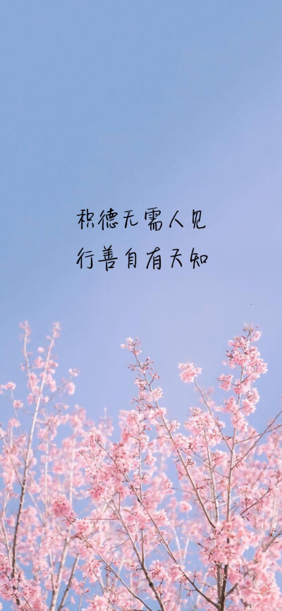 文字图片