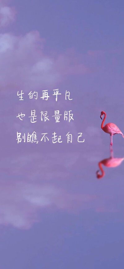 文字图片