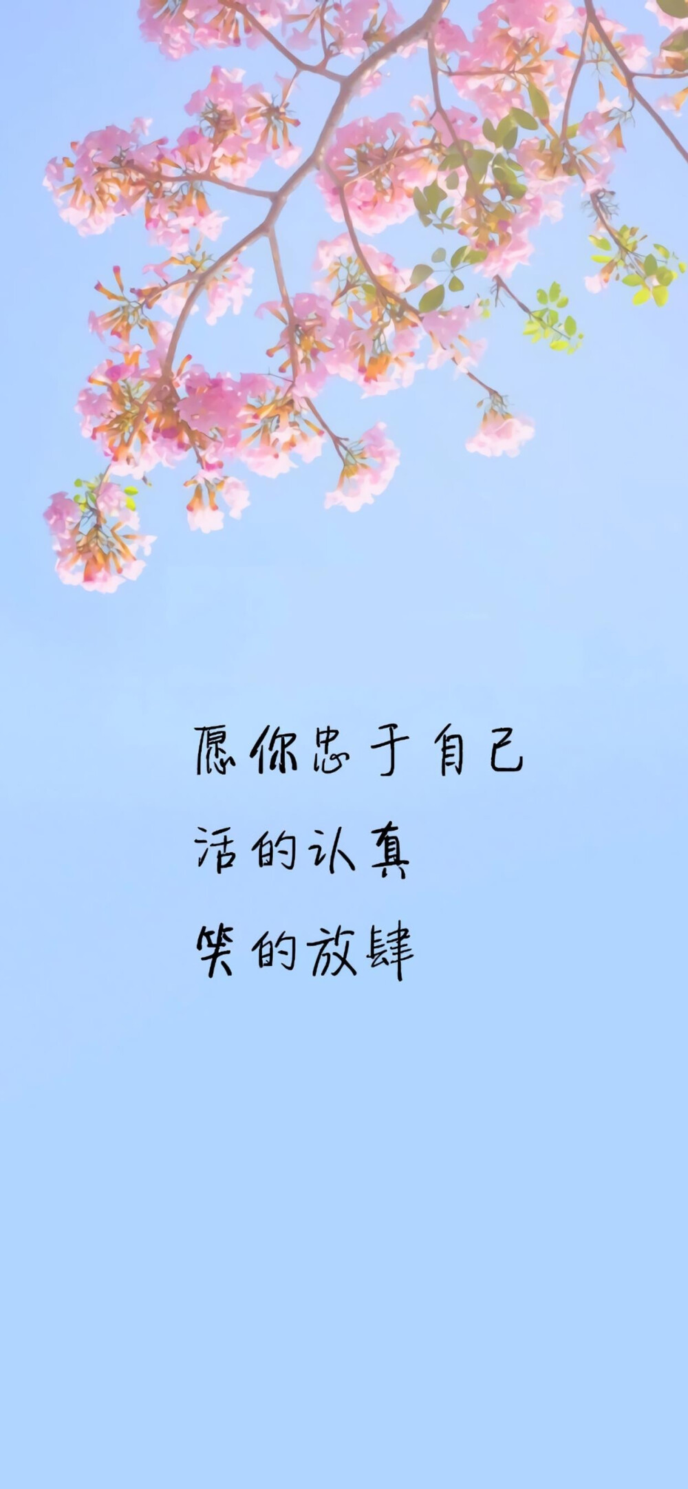 文字图片