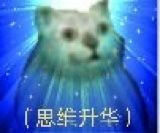 沙雕猫表情包 可爱