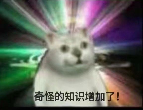 沙雕猫表情包 可爱