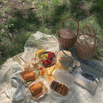 picnic野餐
背景图