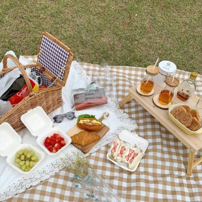 picnic野餐
背景图