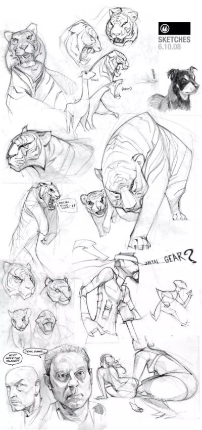 造型与线条 -网络