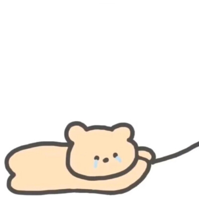 情头
可爱熊