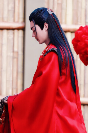 『招摇』
♡厉尘澜 / 墨青
♂许凯