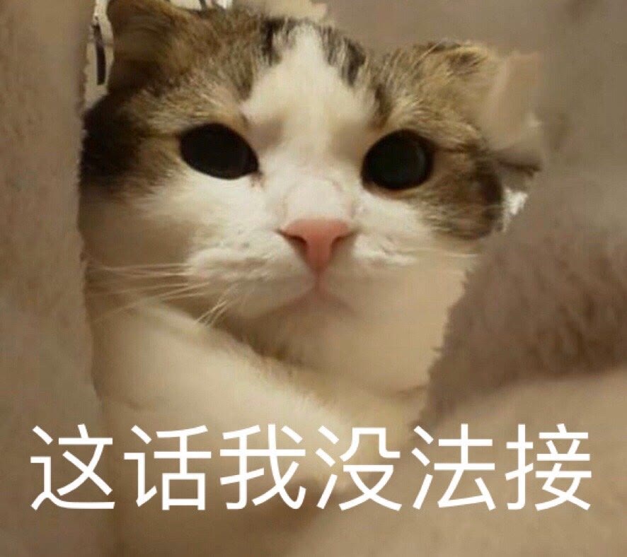 猫狗表情包