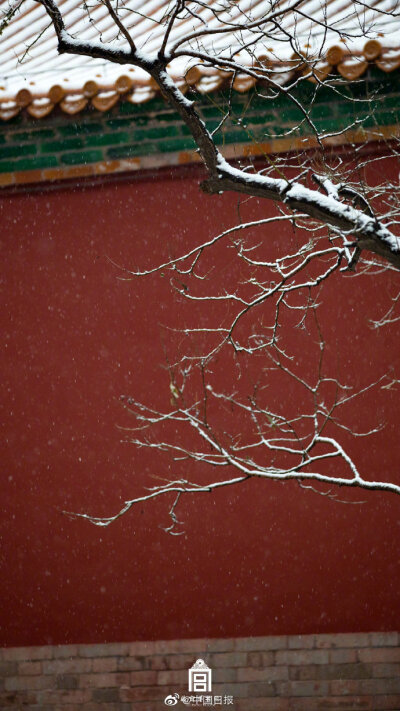 北京故宫雪景