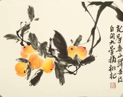 图片均从网上下载