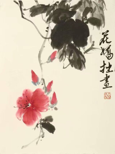 图片均从网上下载