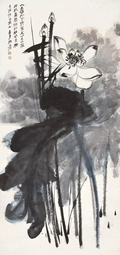 图片均从网上下载