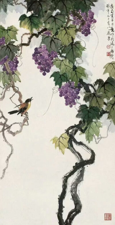 图片均从网上下载