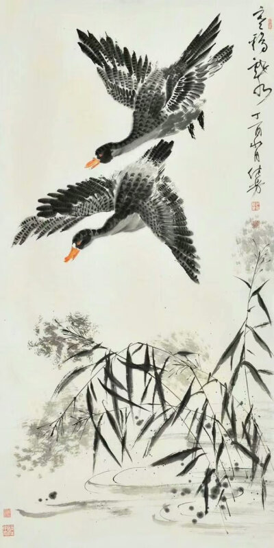 图片均从网上下载