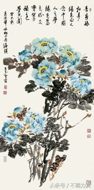 图片均从网上下载