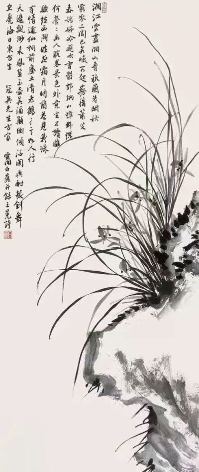 图片均从网上下载