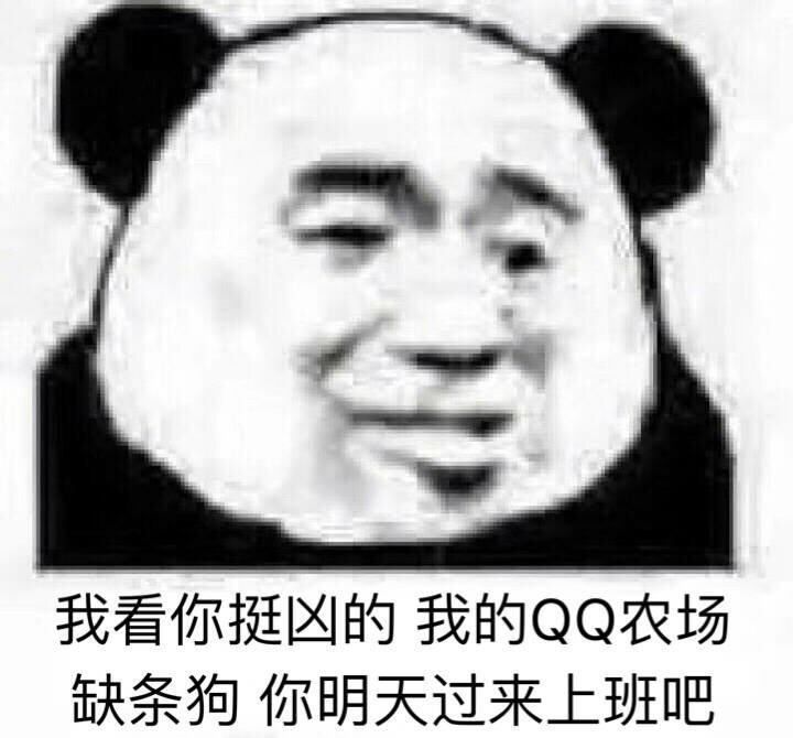 斗图表情