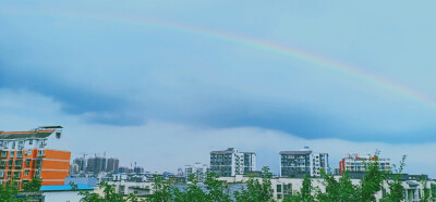 当阳光照在海面上，我思恋你。
当朦胧月色洒在泉水上，我思恋你。
张开眼睛，如果微风摇曳着窗外的树枝，那么你爱的人便也爱着你。
张开耳朵，如果你能感觉到自己的心跳，那么你爱的人便也爱着你。
看着窗外，要…