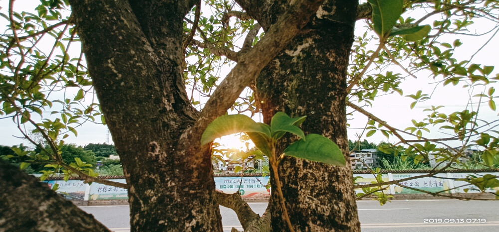 当阳光照在海面上，我思恋你。
当朦胧月色洒在泉水上，我思恋你。
张开眼睛，如果微风摇曳着窗外的树枝，那么你爱的人便也爱着你。
张开耳朵，如果你能感觉到自己的心跳，那么你爱的人便也爱着你。
看着窗外，要是看到树枝在风中飘动，那就是说，你爱的人也在爱着你。
张开你的耳朵，聆听你的心声