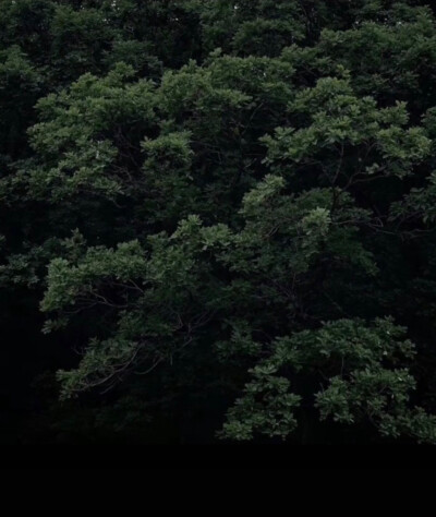 梧桐昨夜西风急，淡月胧明，好梦频惊，何处高楼雁一声