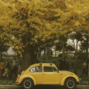 yellow #色彩#
