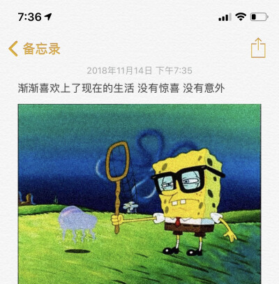 情感语录／文字／海绵宝宝