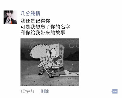 情感语录／文字／海绵宝宝