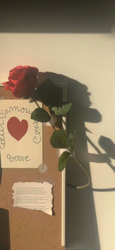 /杂图
关注“伊雯宝贝”，日常更新头像、背景图、壁纸