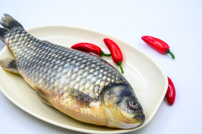 鲫鱼 生物 水生生物 水产品 海产品 鱼类 海鲜 狗杠鱼 推浪鱼 沙逛鱼 地龙鱼 天浪鱼 光鱼 海鱼 新鲜 动物 海洋动物 室内 食材 食物 待加工 烹饪 野生鱼 捕捞 特写 黑色背景 容器 简单背景 白瓷盘 瓷器 整条鱼 饮食 营…