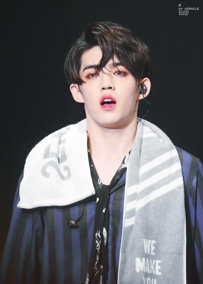 崔胜澈 S.coups