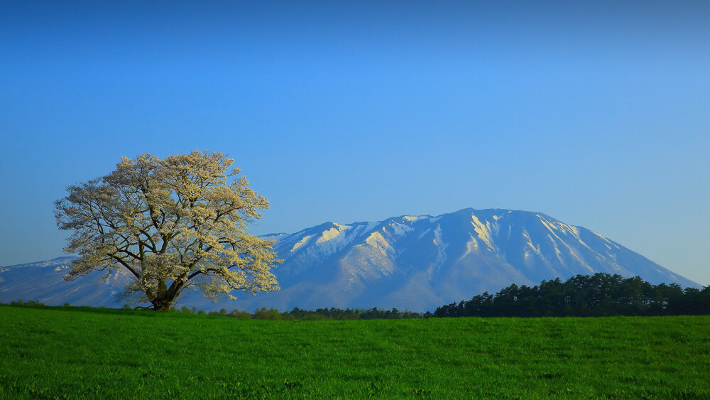 美景